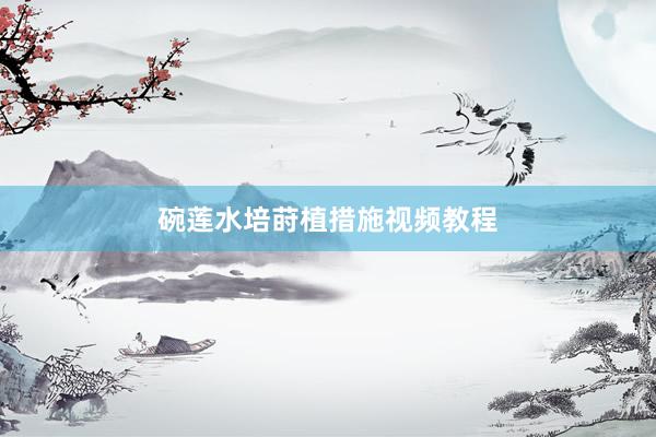 碗莲水培莳植措施视频教程