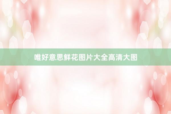 唯好意思鲜花图片大全高清大图