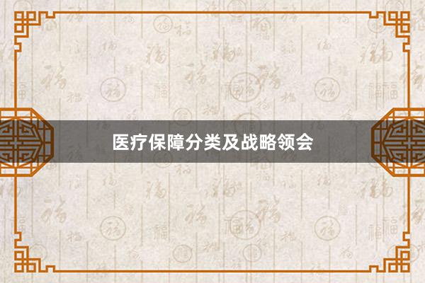 医疗保障分类及战略领会