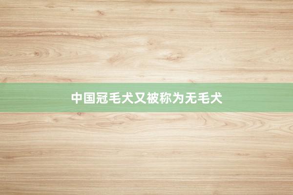 中国冠毛犬又被称为无毛犬